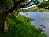 Kylemore Abbey